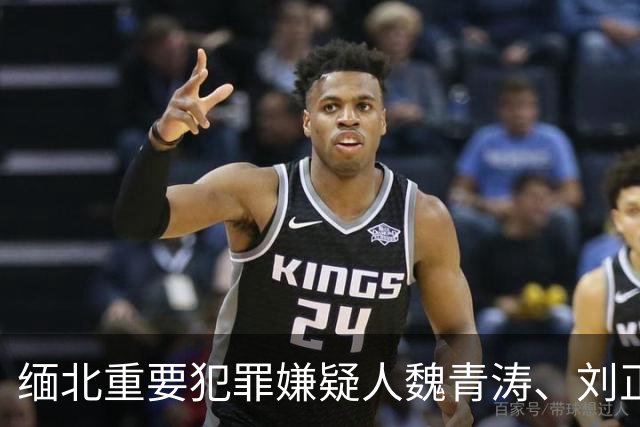 缅北重要犯罪嫌疑人魏青涛、刘正琦被捕现场曝光，行动仅耗时10分钟